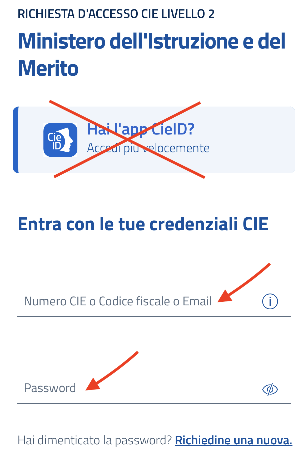 Errore Accesso CIE